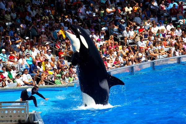 Beoordeling Seaworld