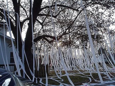TP-ing your house