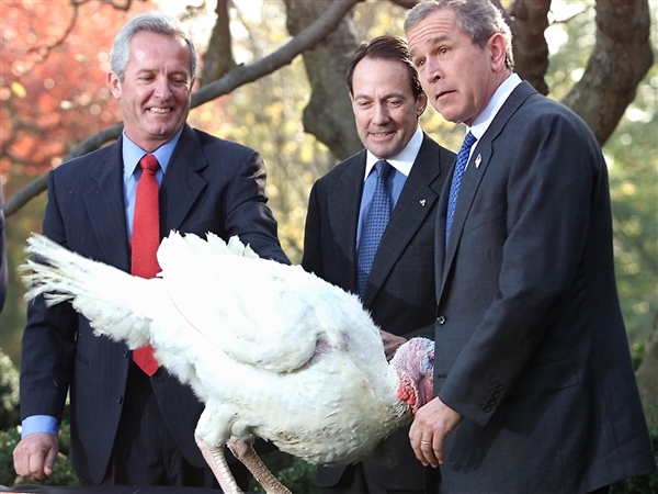 president-turkey-pardon