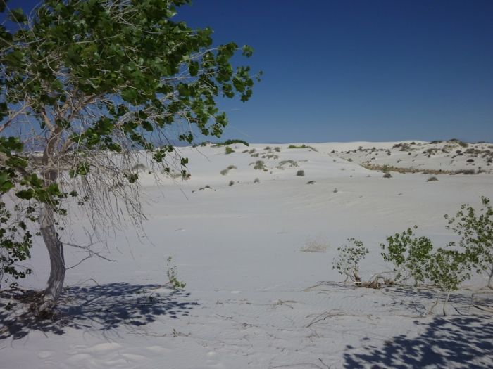 White Sands 03