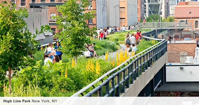 high_line_park