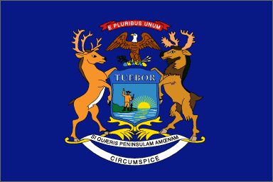 Michigan vlag