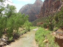 Angels Landing - 13