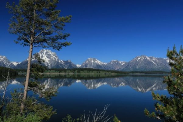 Grand Teton