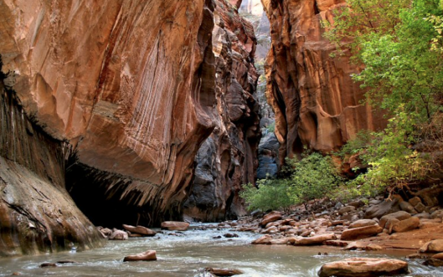 The Narrows - Zion National park