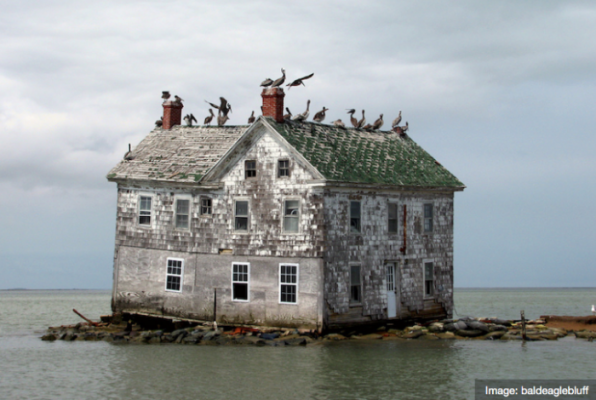 Holland Island, Chesapeake Bay, Maryland