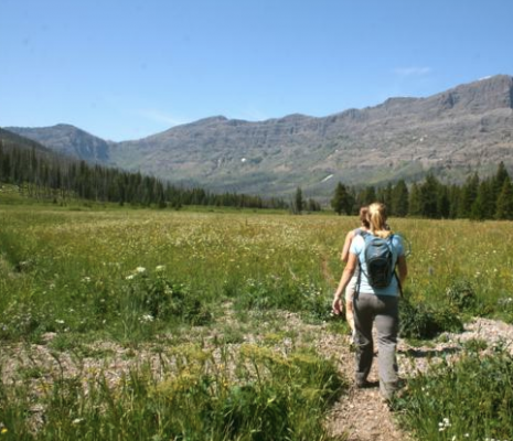 Trails in Yellowstone