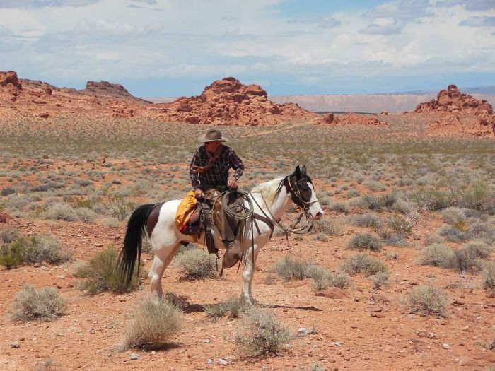 Cowboy in Valley of Fire