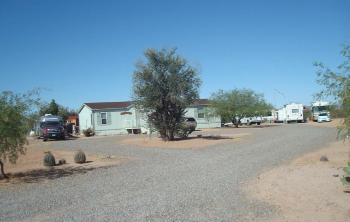 Dutch party in the Desert