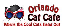 Orlando Cat Cafe - Miauww