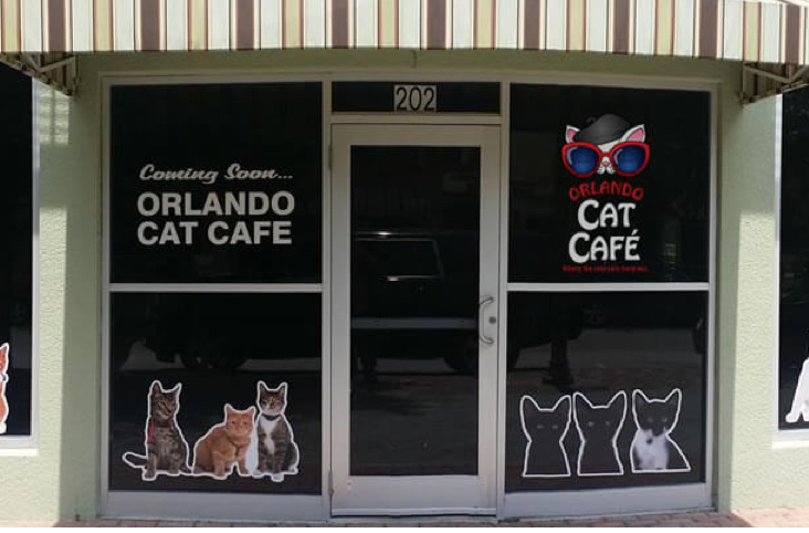 Orlando Cat Cafe - Elke kattenliefhebber moet hier een kop koffie drinken!