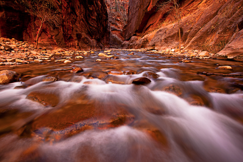 zion-narrows-het-wordt-steeds-drukker-in-zion-national-park - druk in Zion National Park