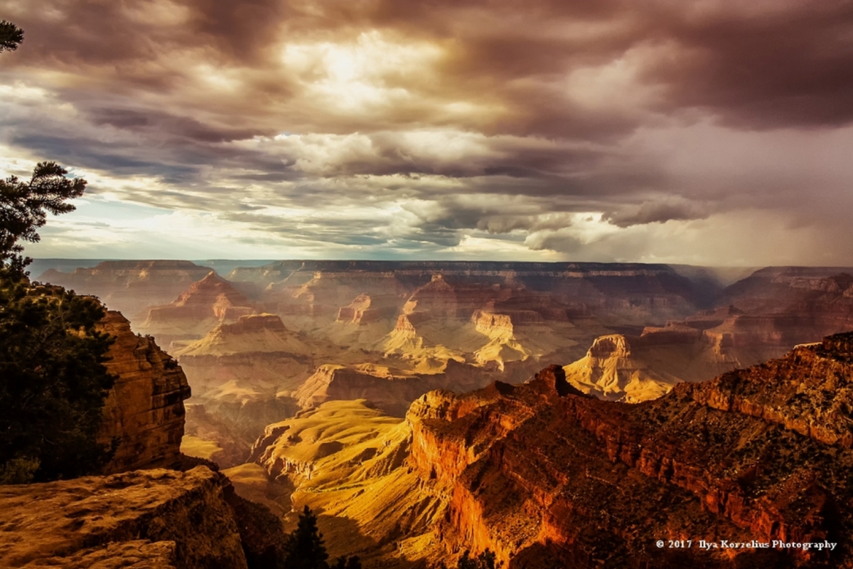 Grand canyon in Arizona - Ilya Korzelius