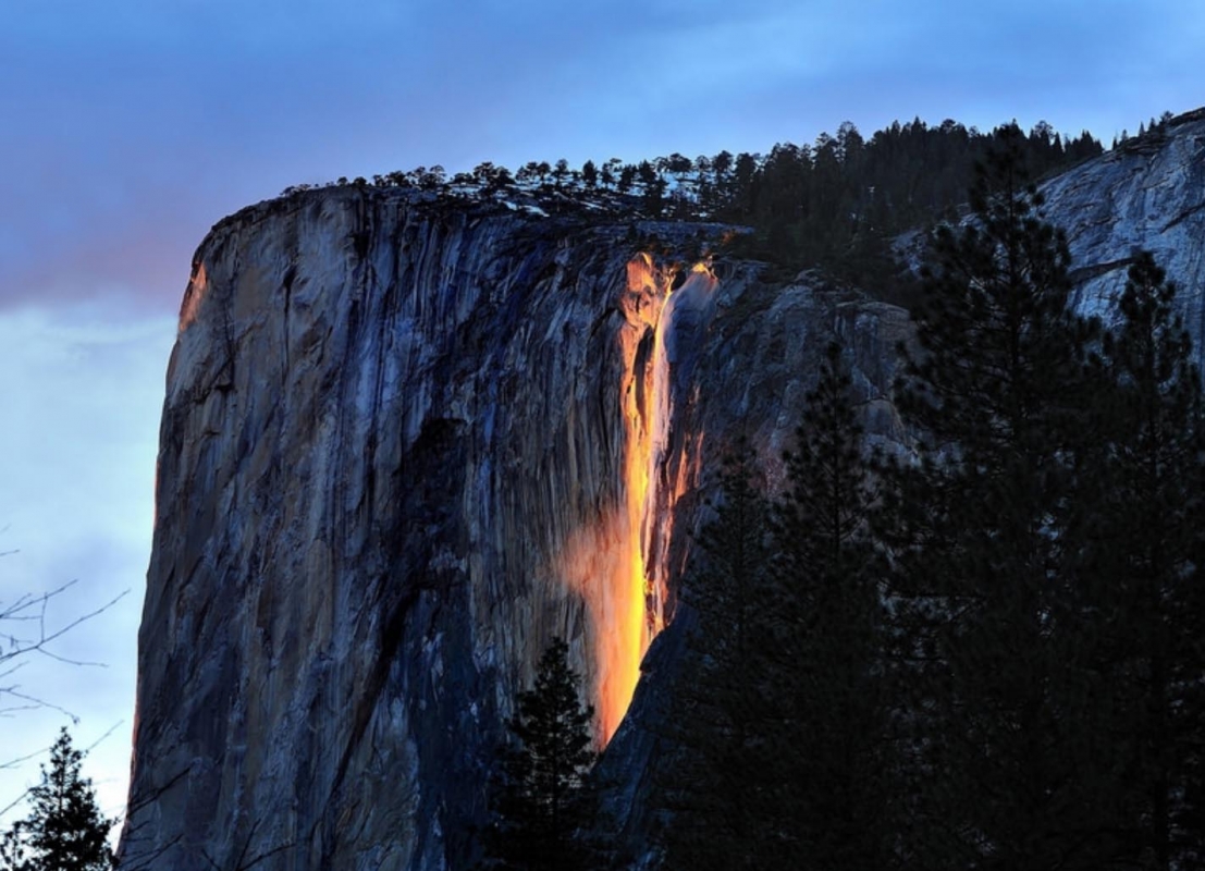 Photo by Nikhil Shahi - Horsetail