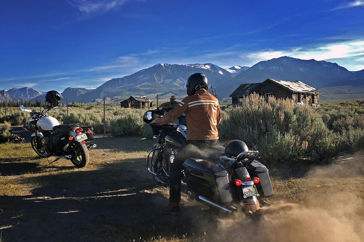 Floris Verweij - Off-road Harley