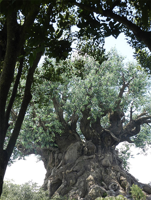 Louise En Jan-Willem Logtmeyer- Tree of life