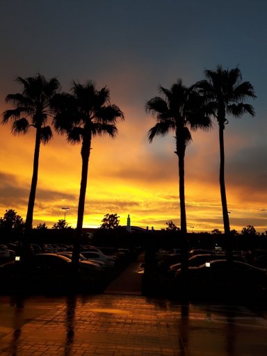 Sunset over Florida - Pat Karst
