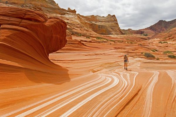 The Wave - North Coyote Buttes